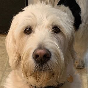 Meet your Posher, Walker